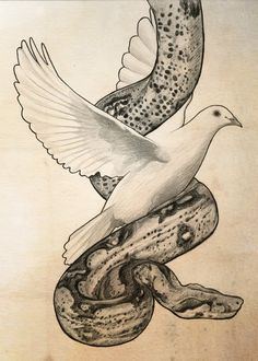 Snake dove