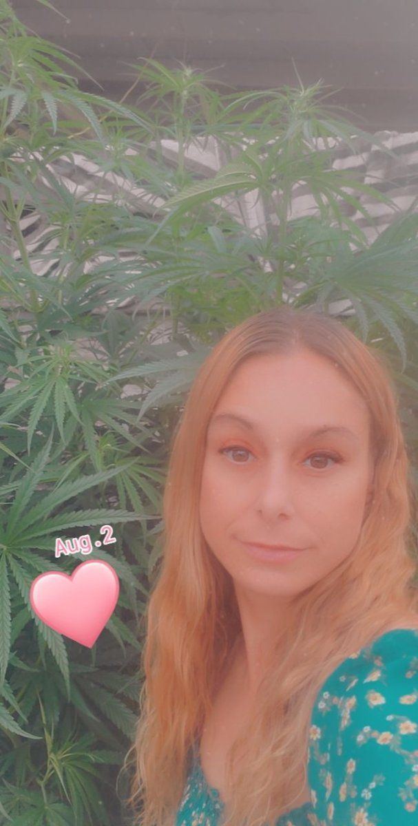 Snapchat 1866815280
