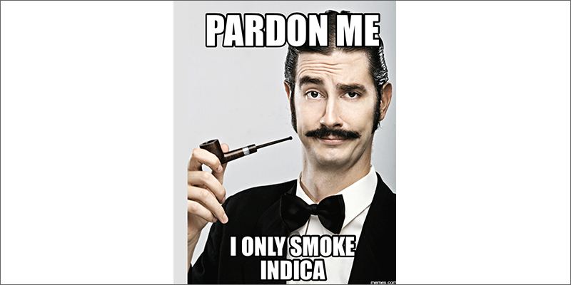 Snob