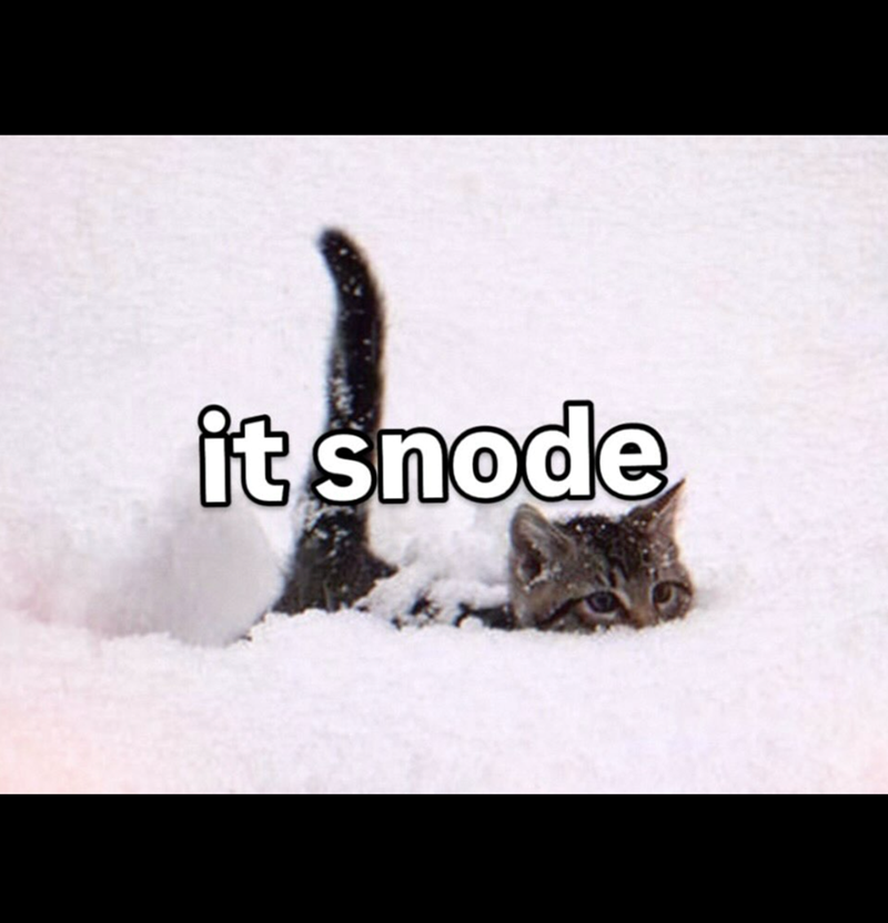 Snode