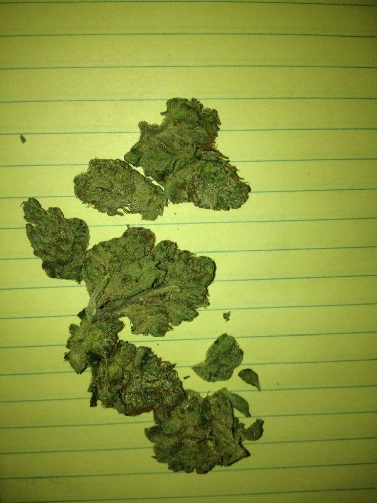Snoop