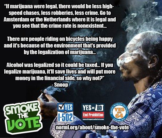 Snoop lion