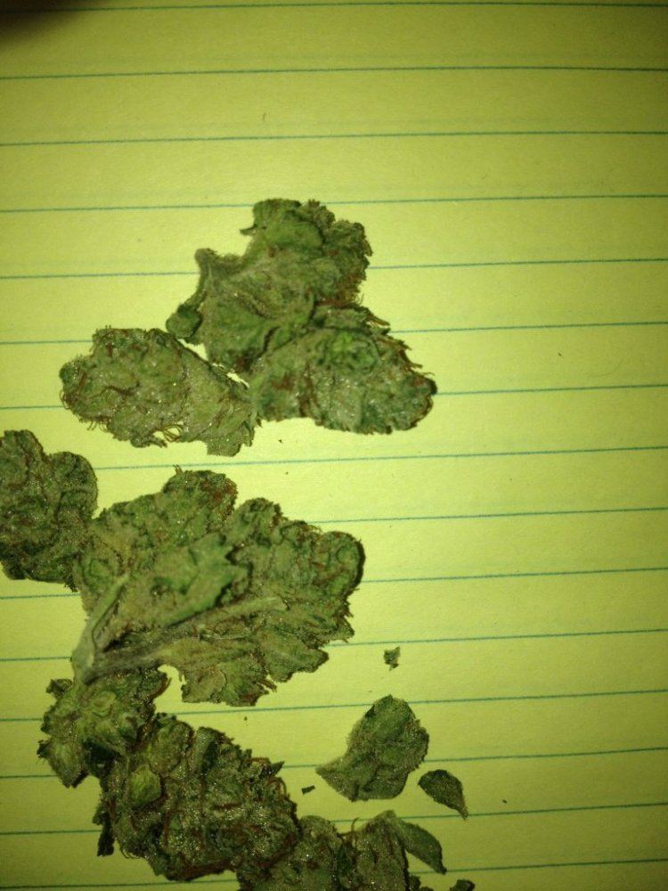 SNOOP OG