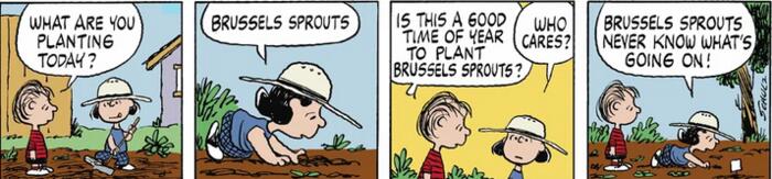 Snoopy 2