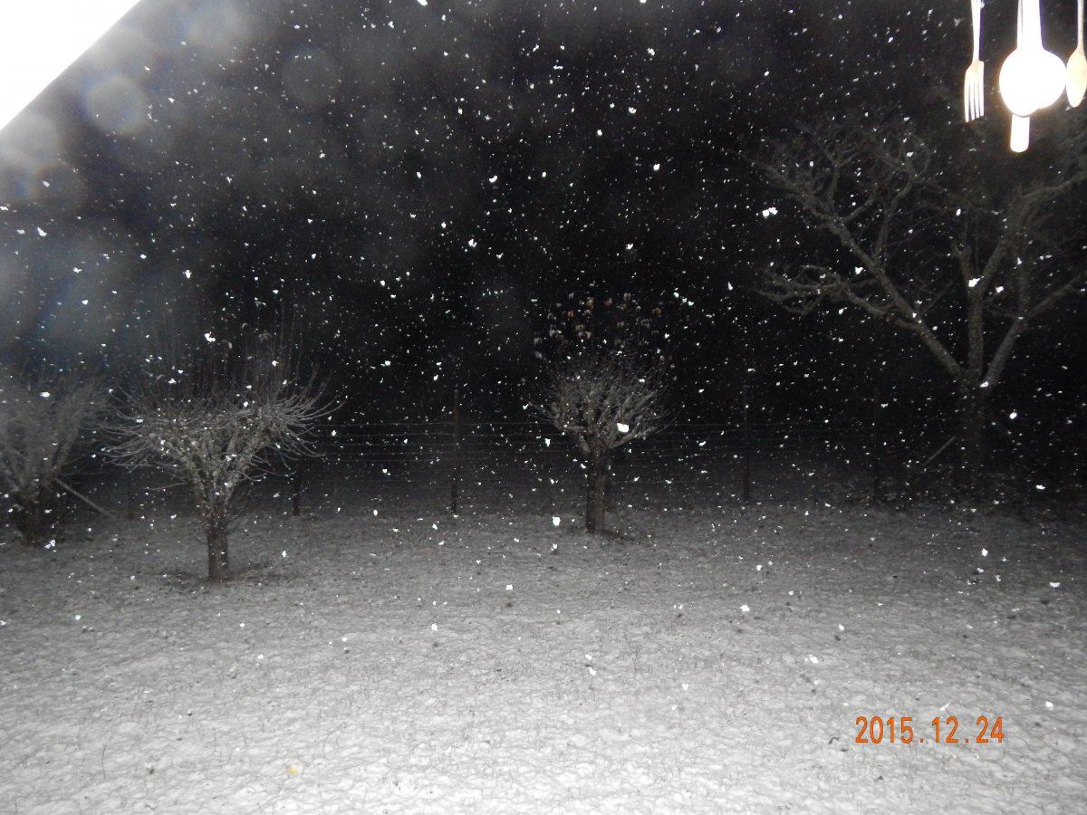 Snow 005
