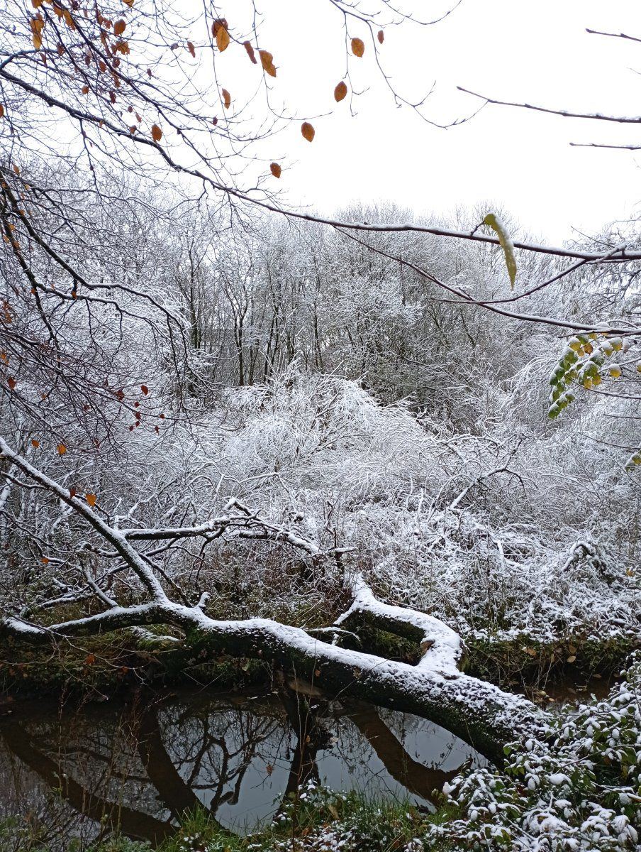 Snow