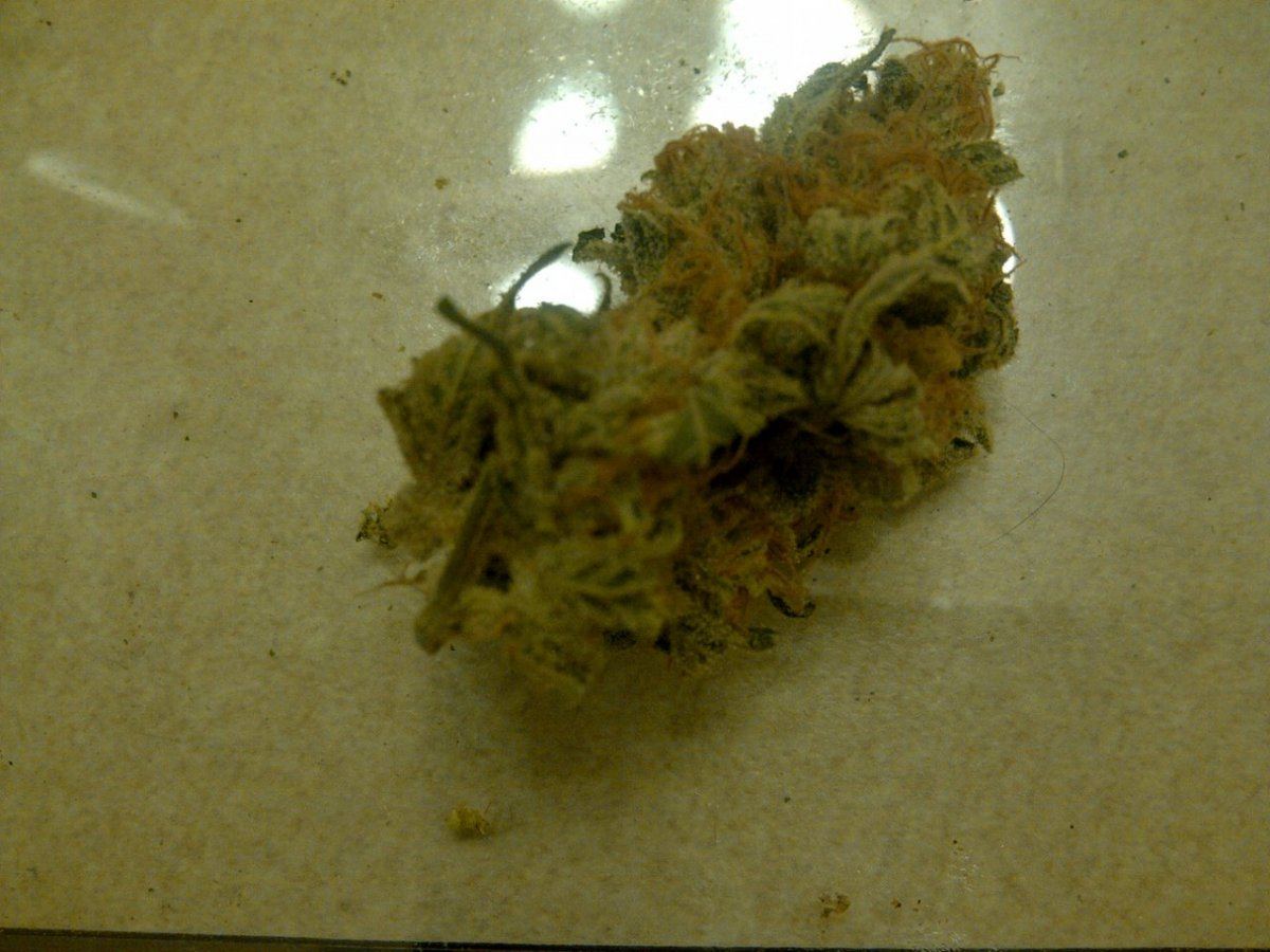 Snow leopard 2 dry nug 2