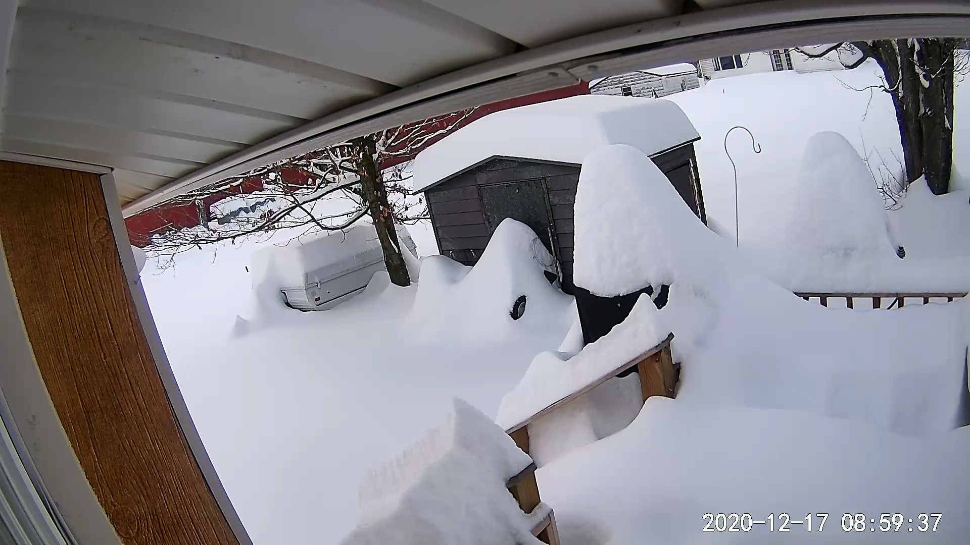 Snow2020