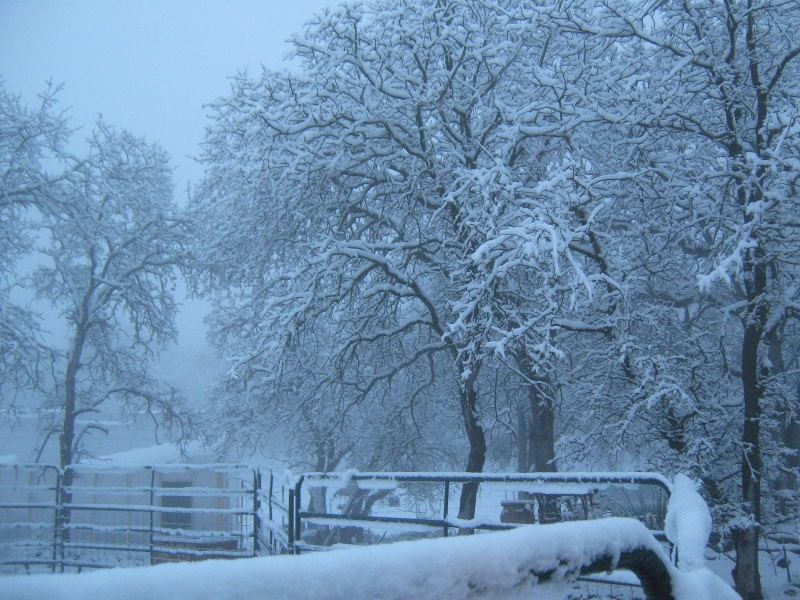 Snow220