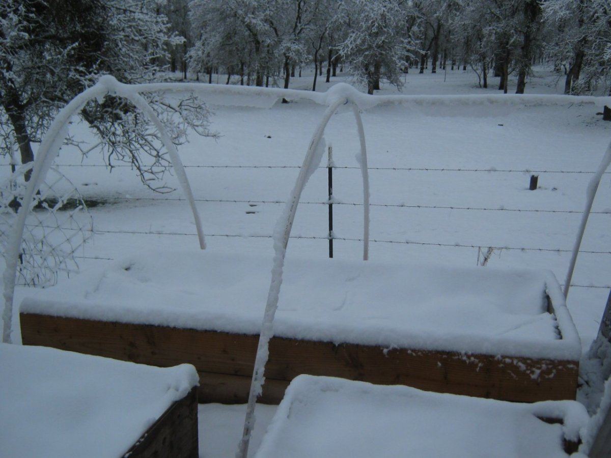 Snowbed220