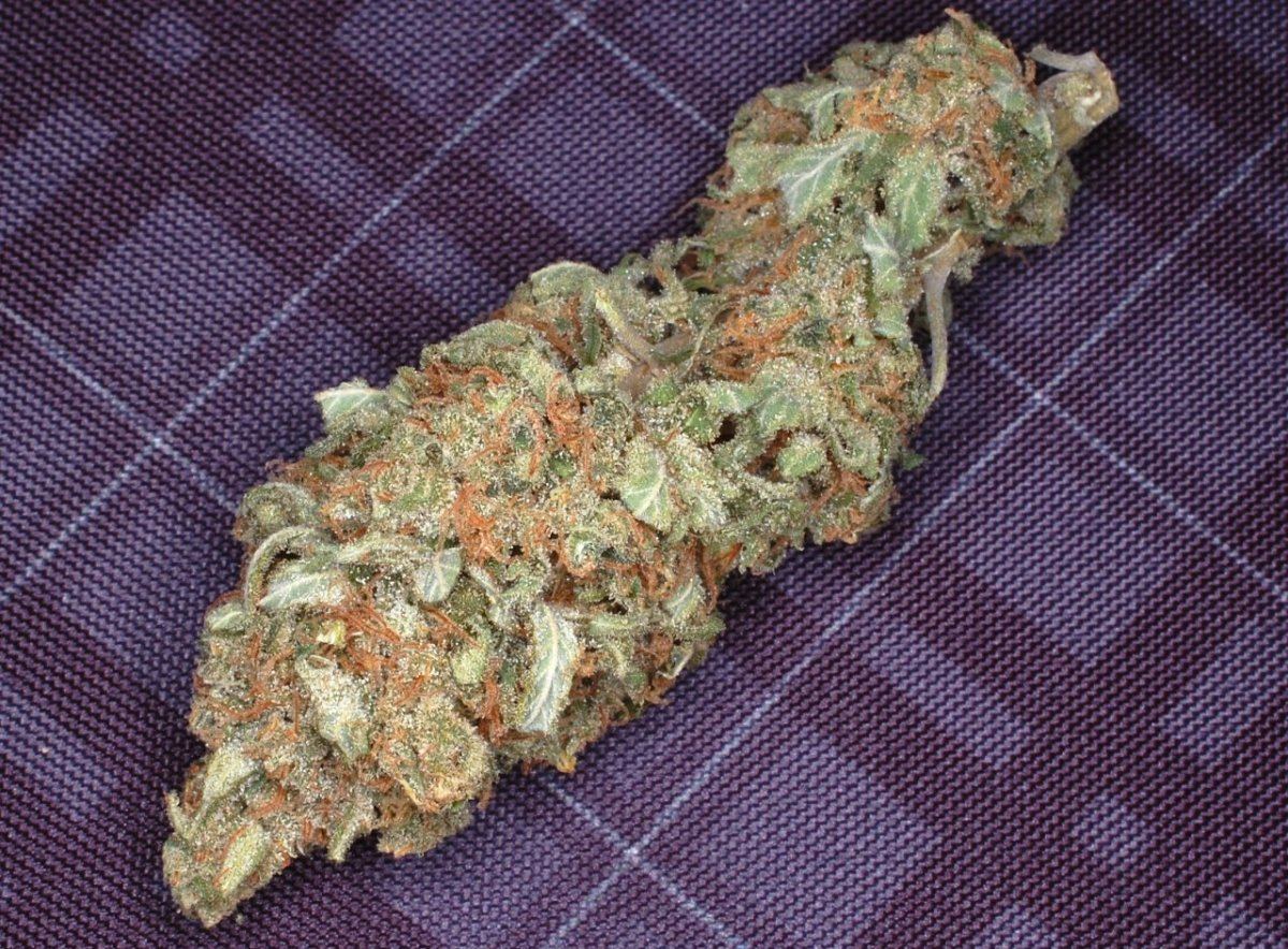 SNOWCAP sf