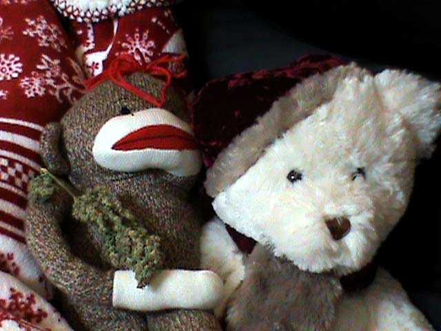 Sockmonkeychristmas