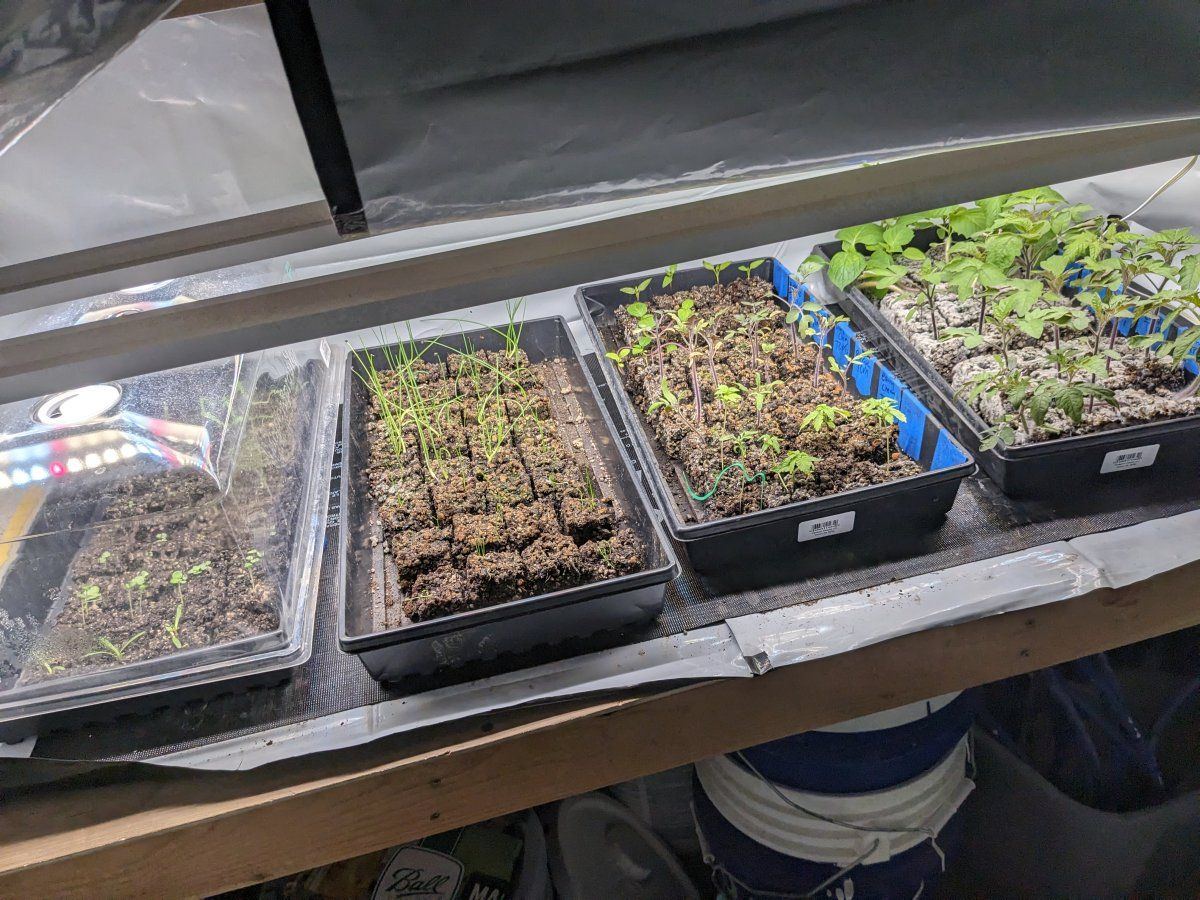 Soil blocking for cannabis tips 3