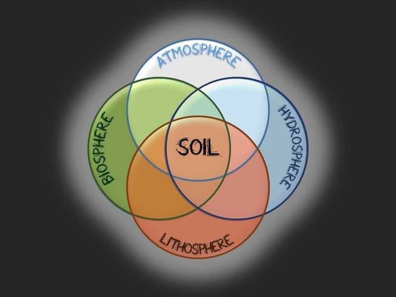 Soil in the interface
