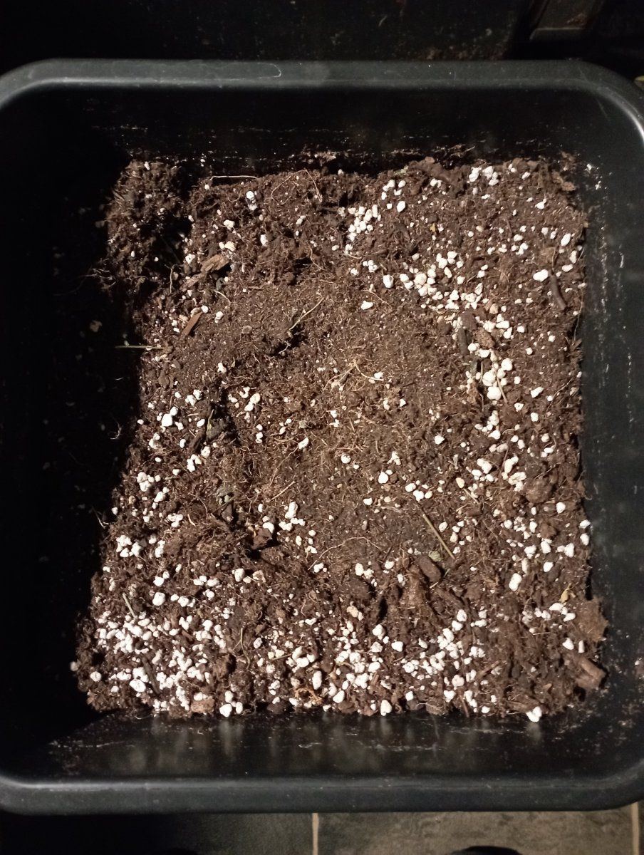 Soil1