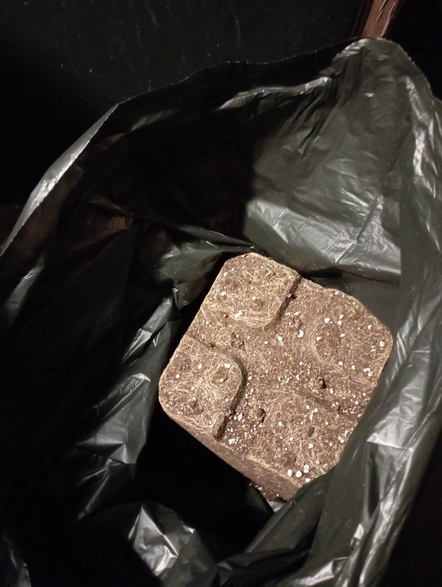 Soil2