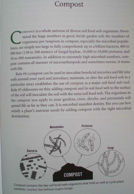 Soilfoodweb