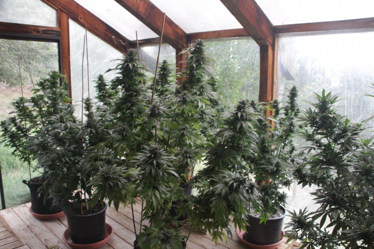 Solarium