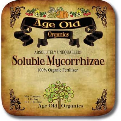 Soluble mycorrhizae 400x400
