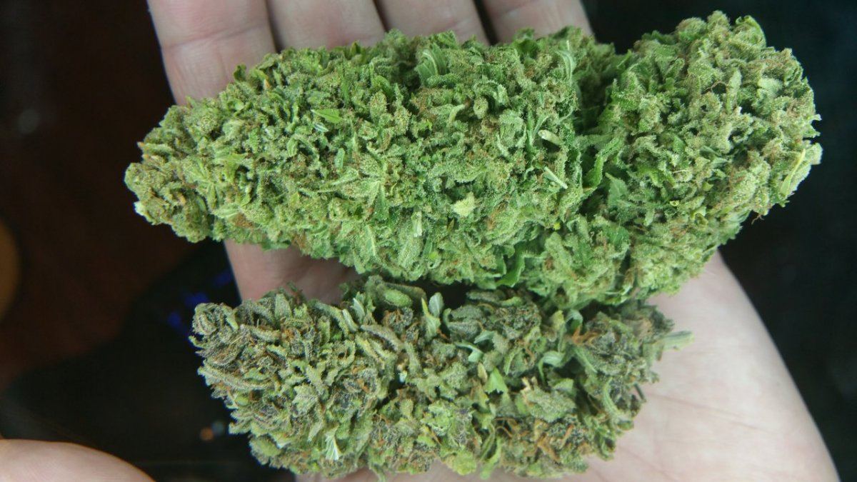 Some bomb strains  buds 3