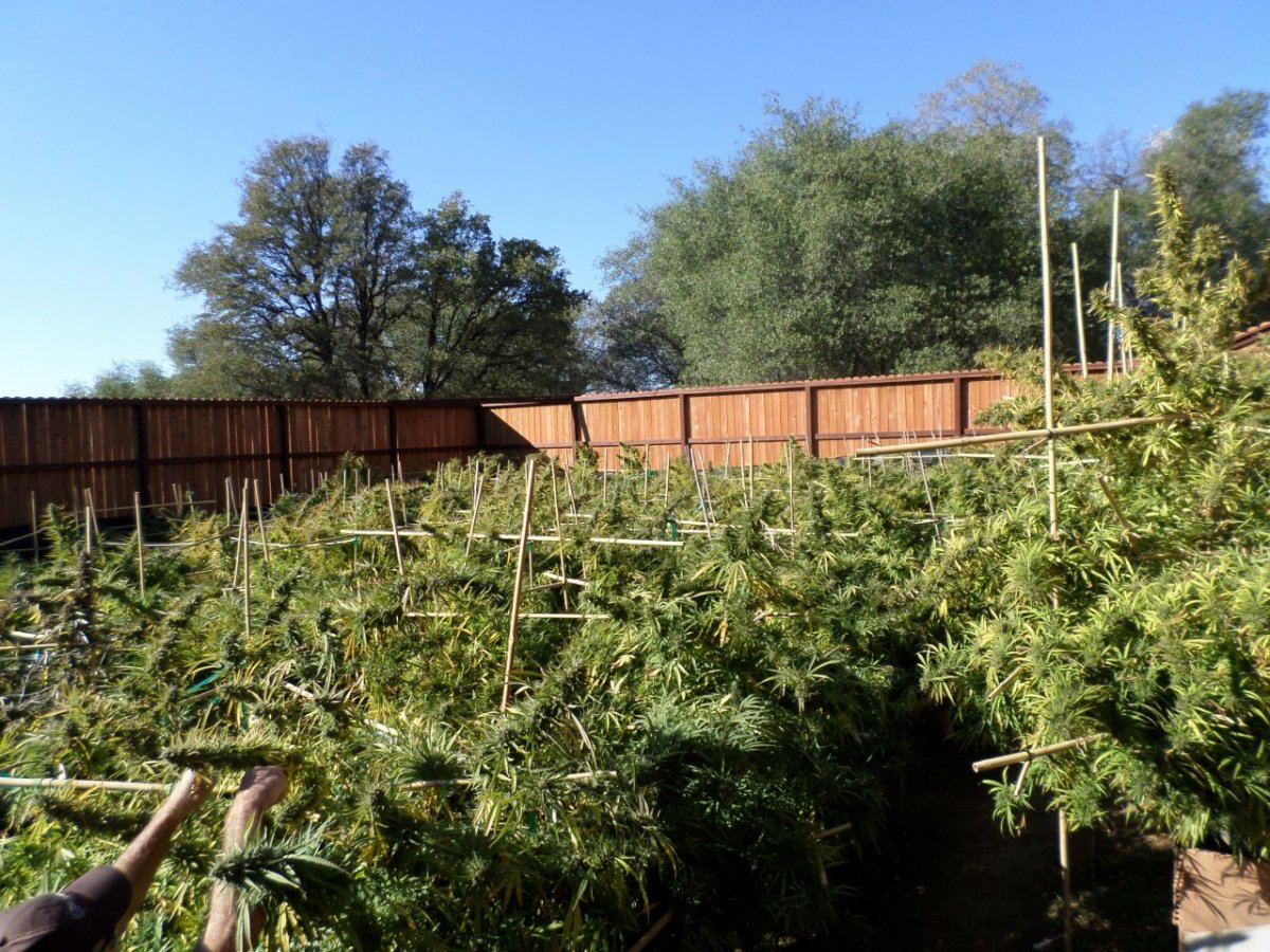 Some kewl outdoor 3