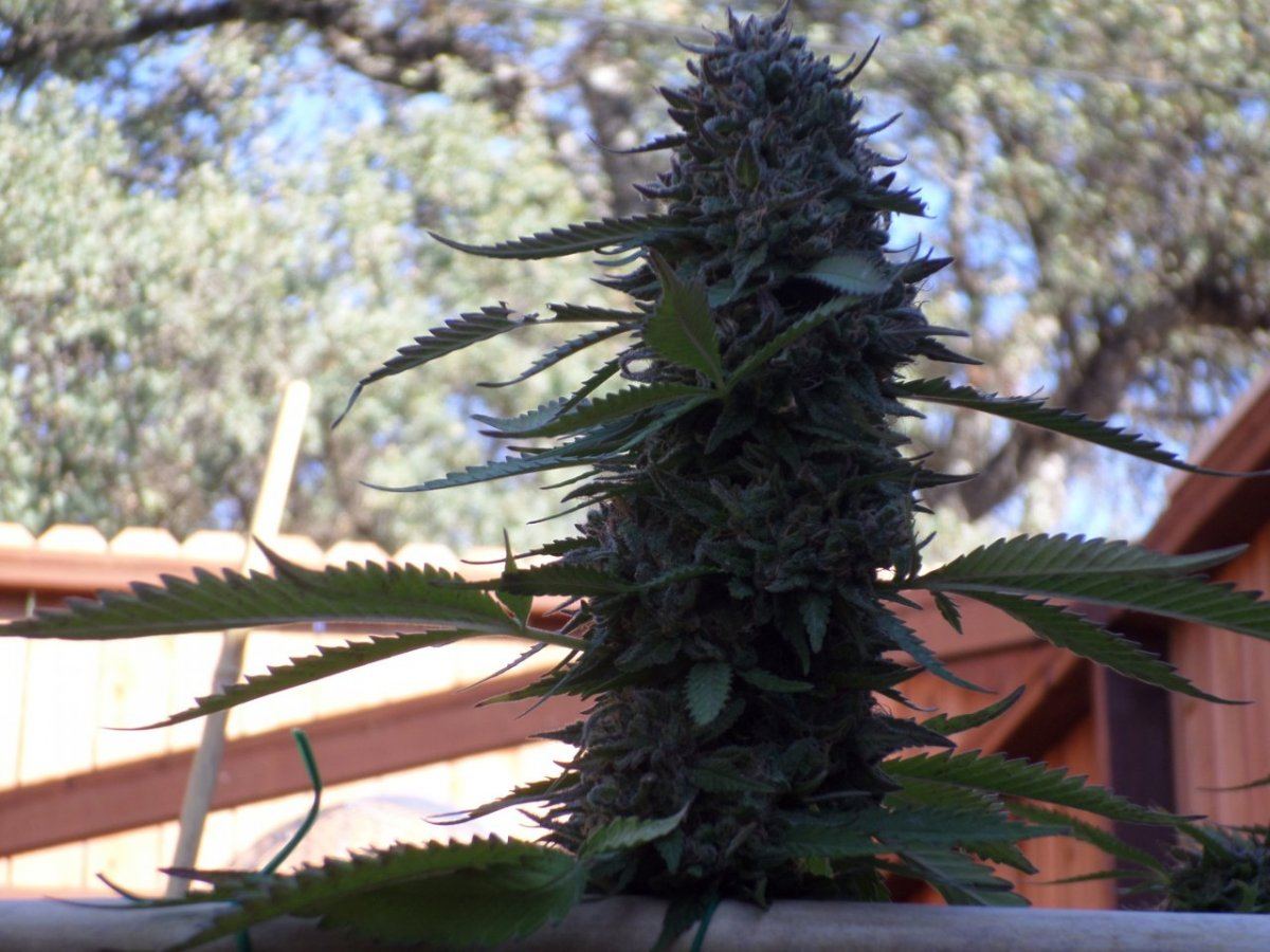 Some kewl outdoor 4