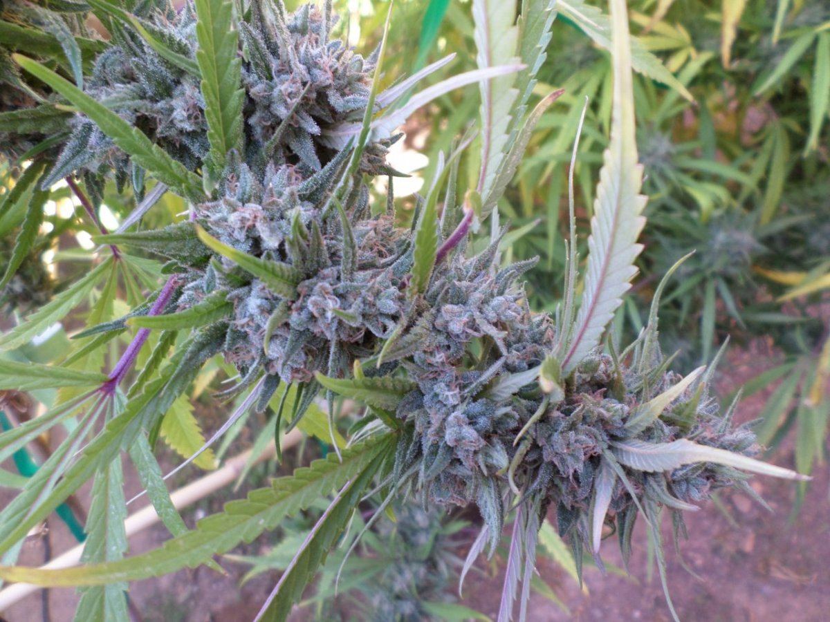 Some kewl outdoor 5