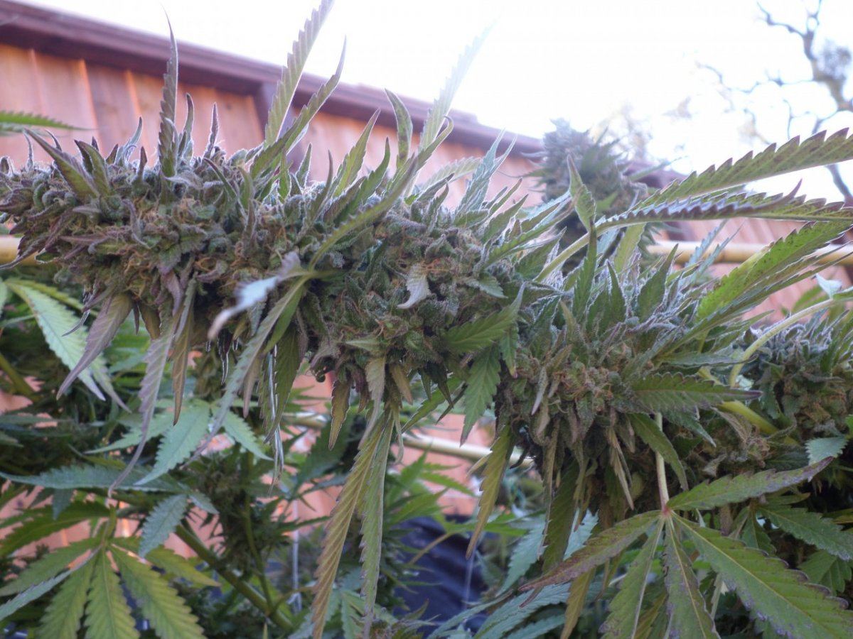 Some kewl outdoor 6