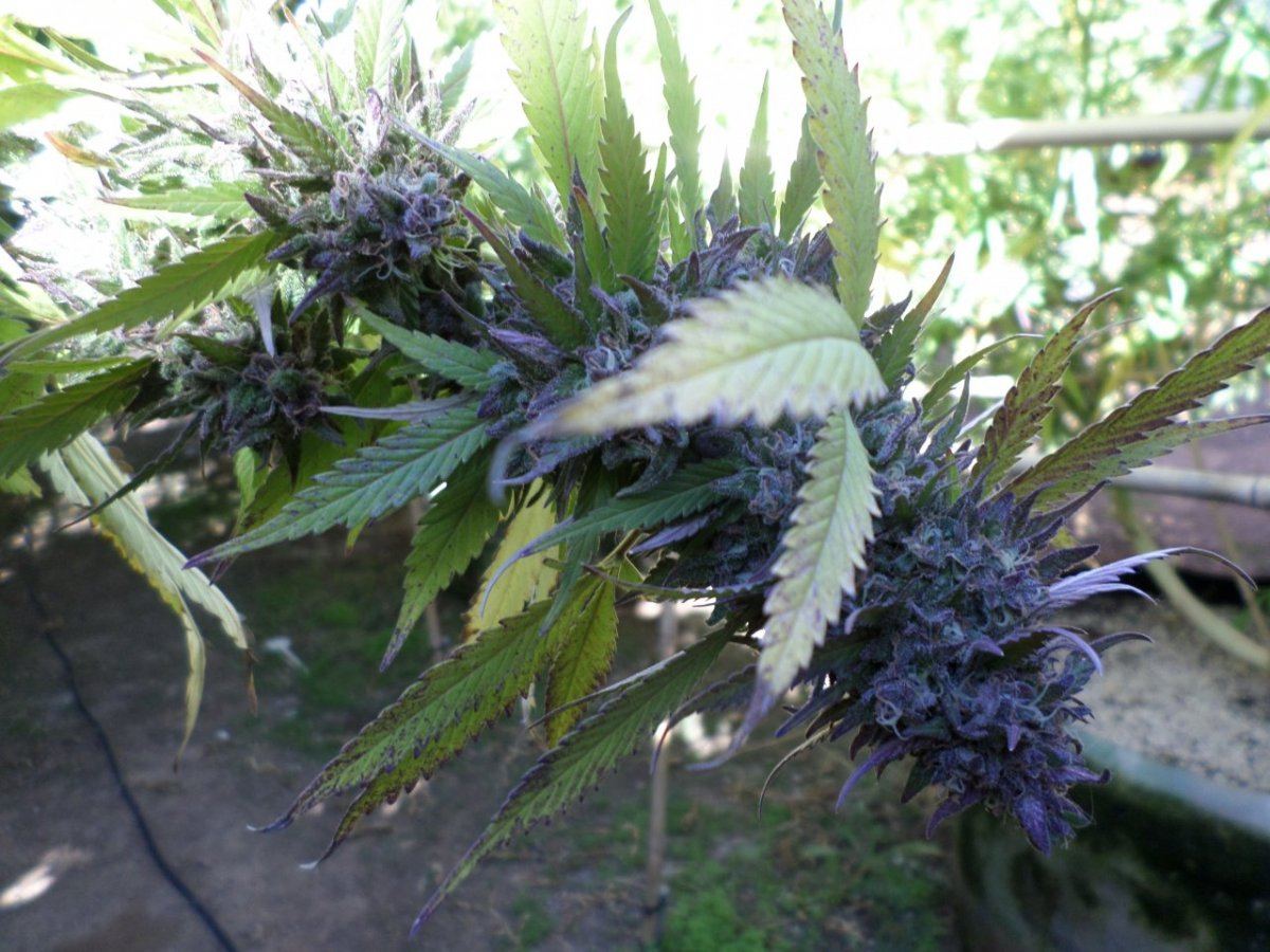 Some kewl outdoor 8
