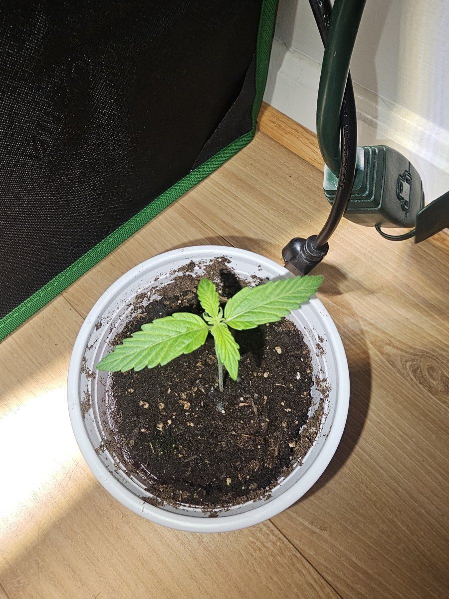 Some tips and suggestions please