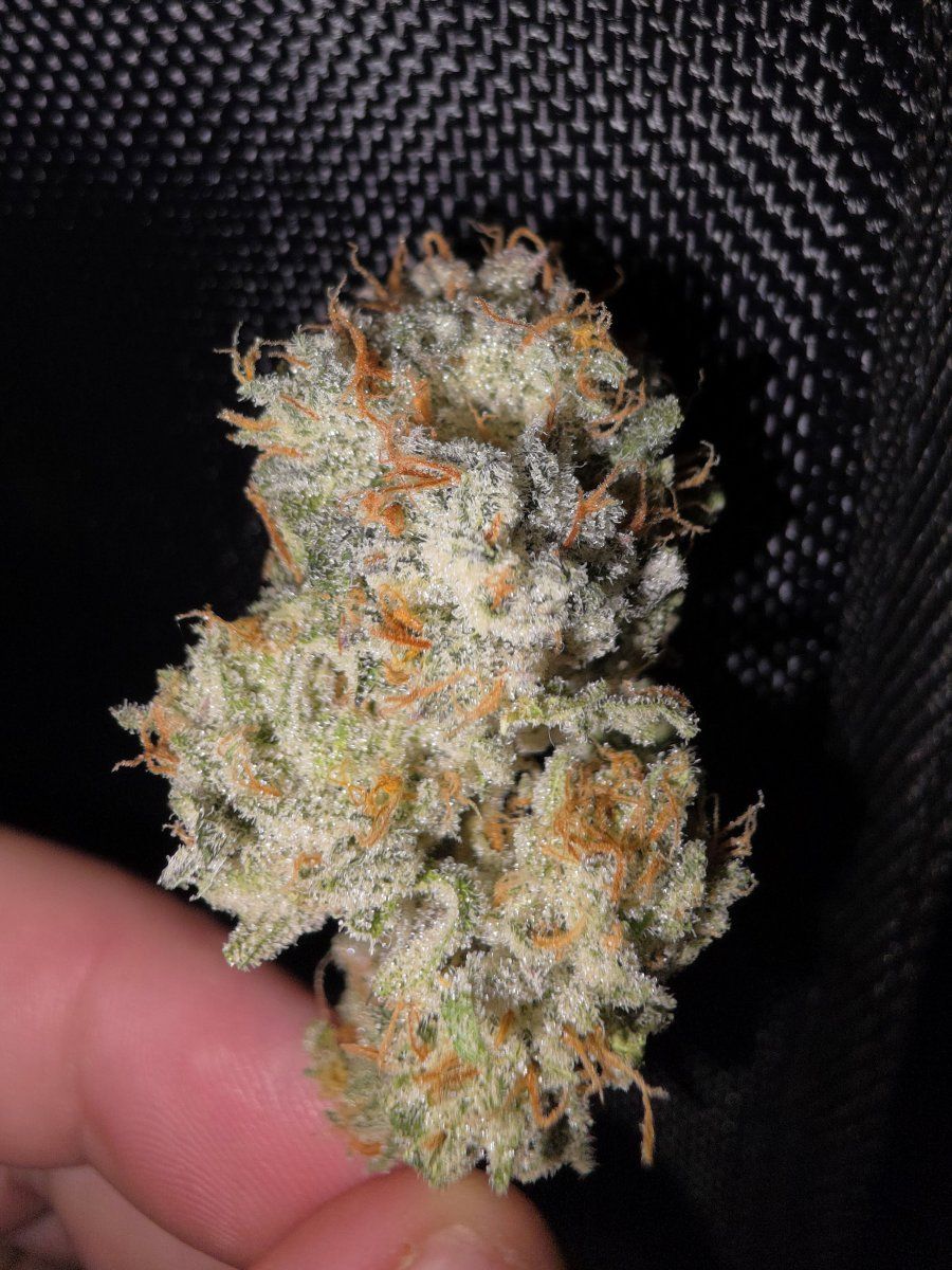 Sour Bubba Rotten Dank