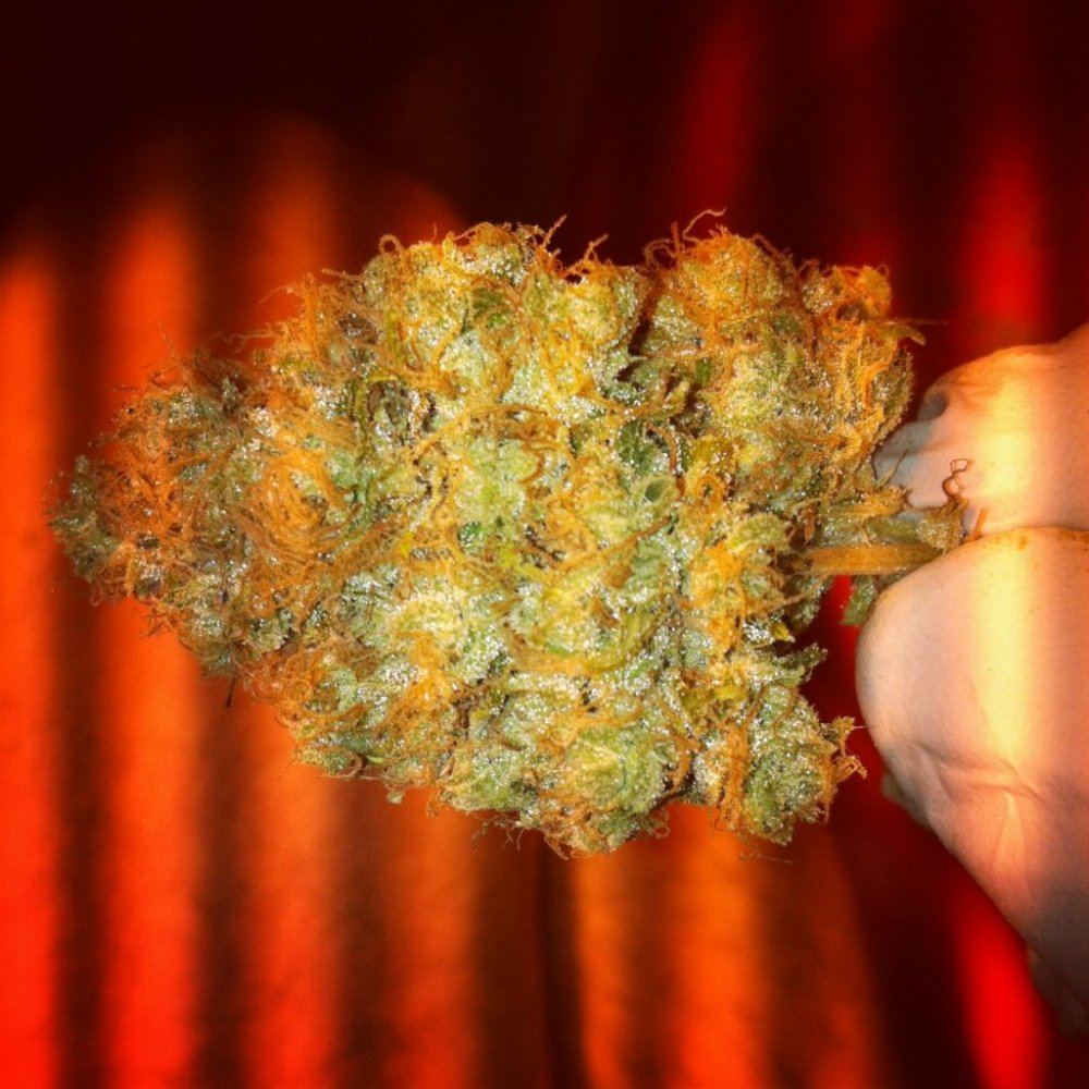 Sour d