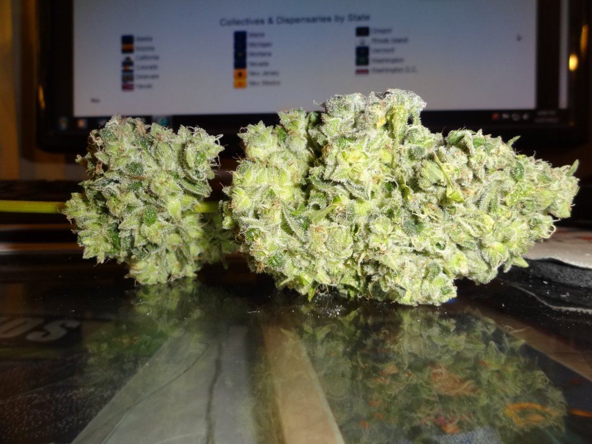 Sour flame 2 002