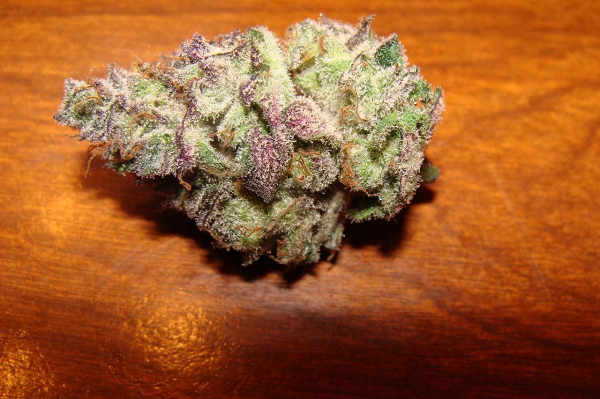 Sour Grape Kush 3