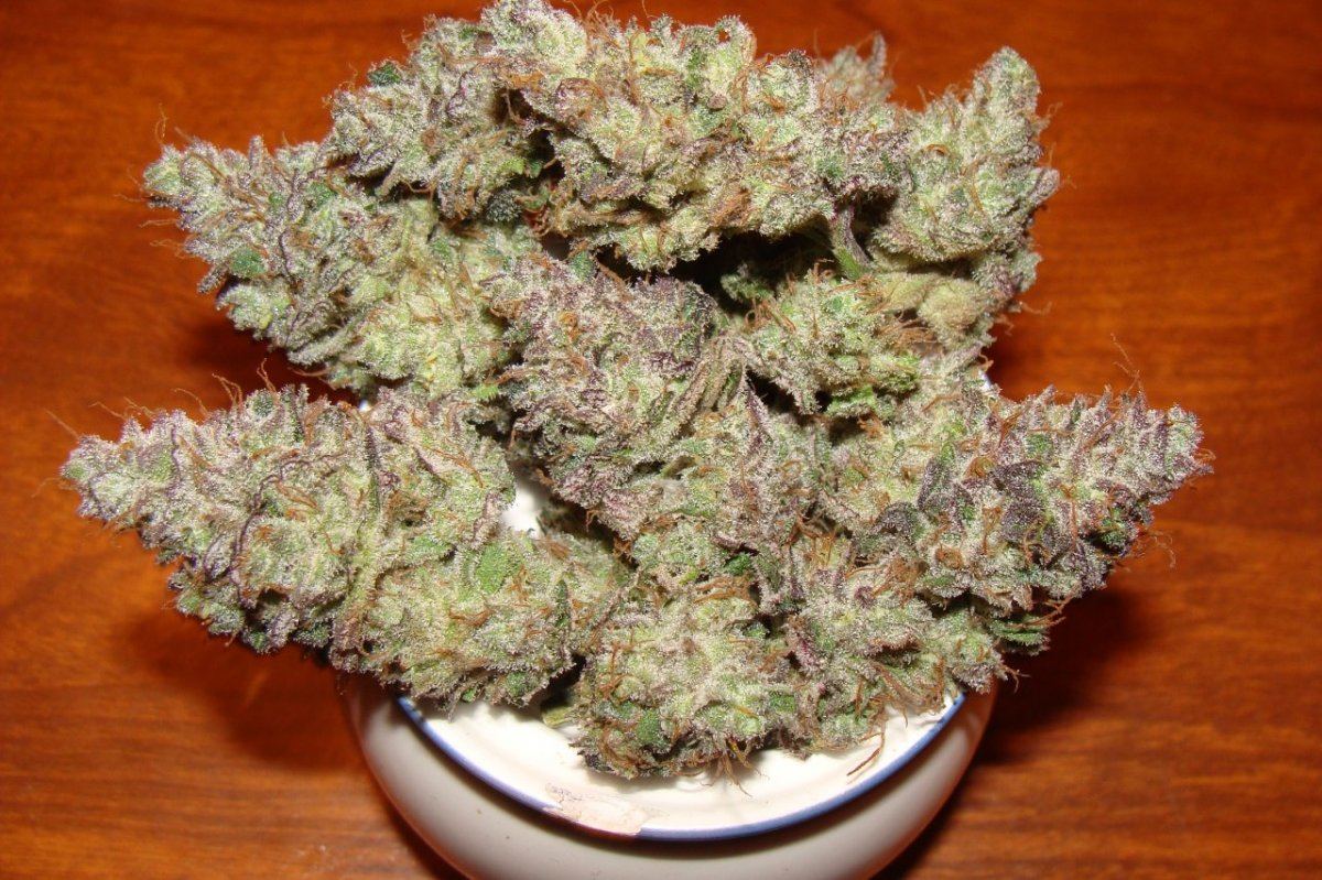 Sour Grape Kush 5