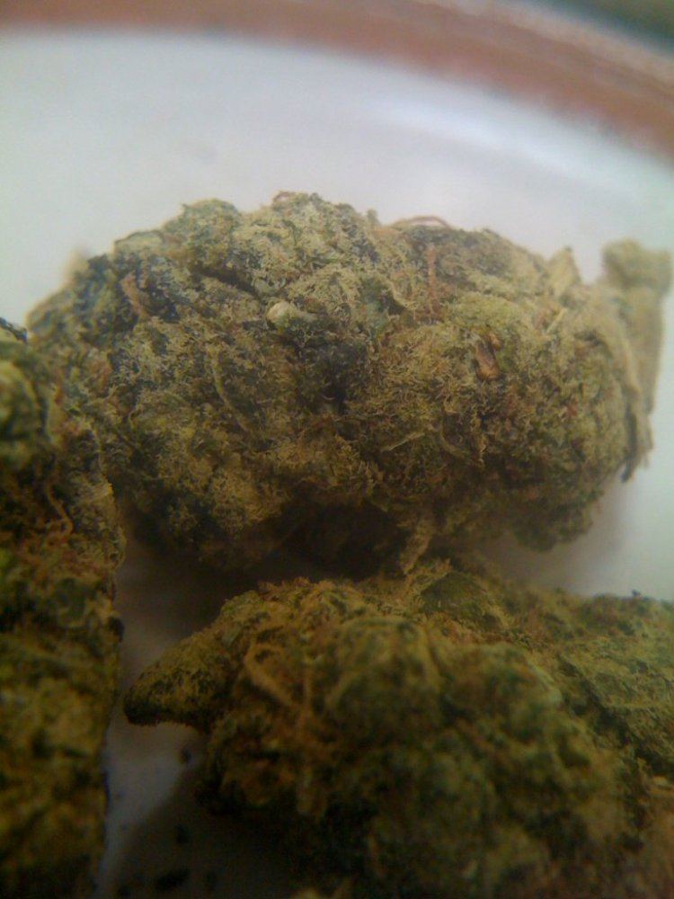 Sourd2