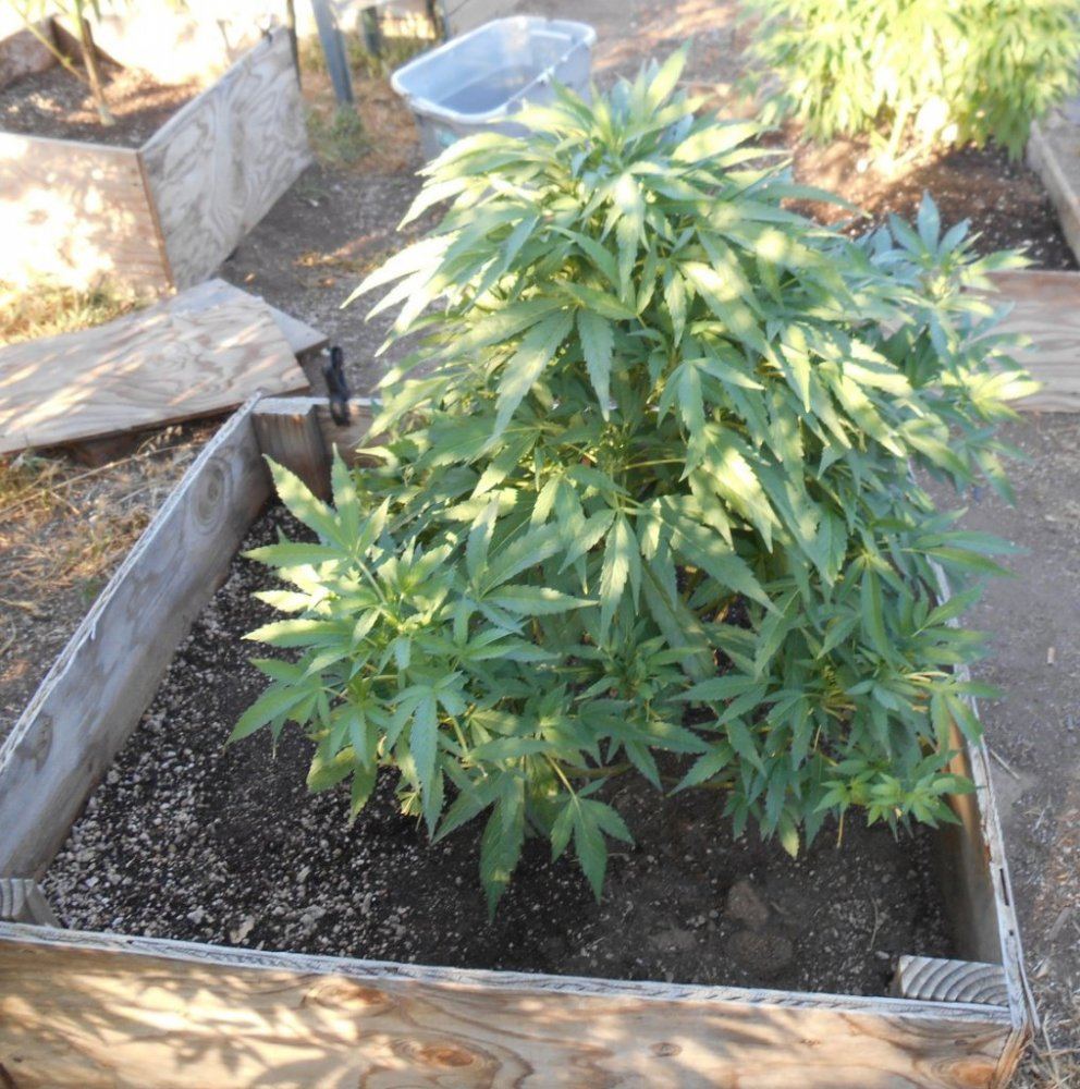 Soursour3on69