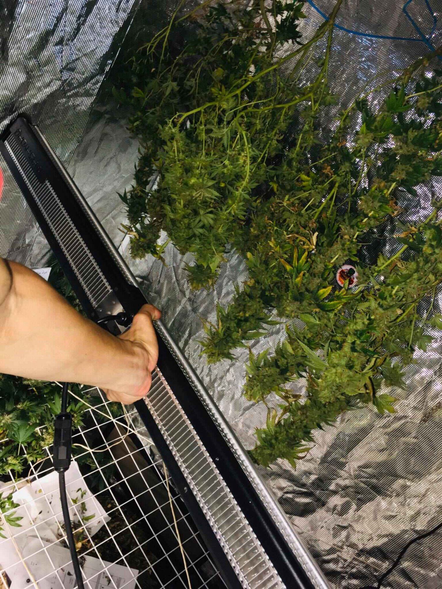 SP25020200313101453
