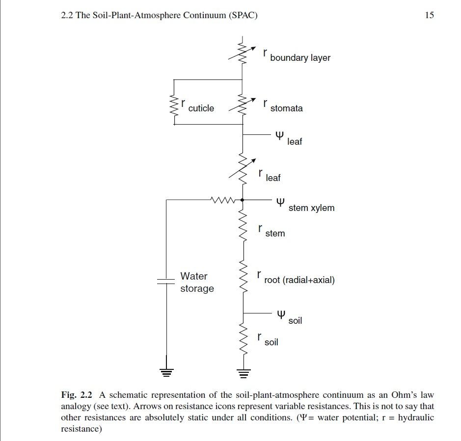 SPAC ohms