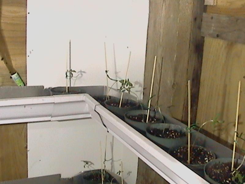 Space saving in veg room 2