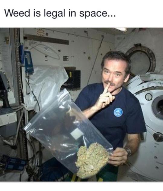 Spaceweed