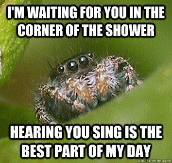 Spider
