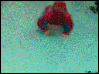 Spiderpig