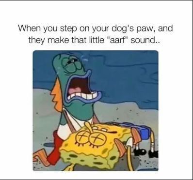 Spomge arf