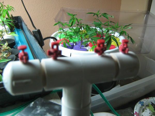 Sprayer