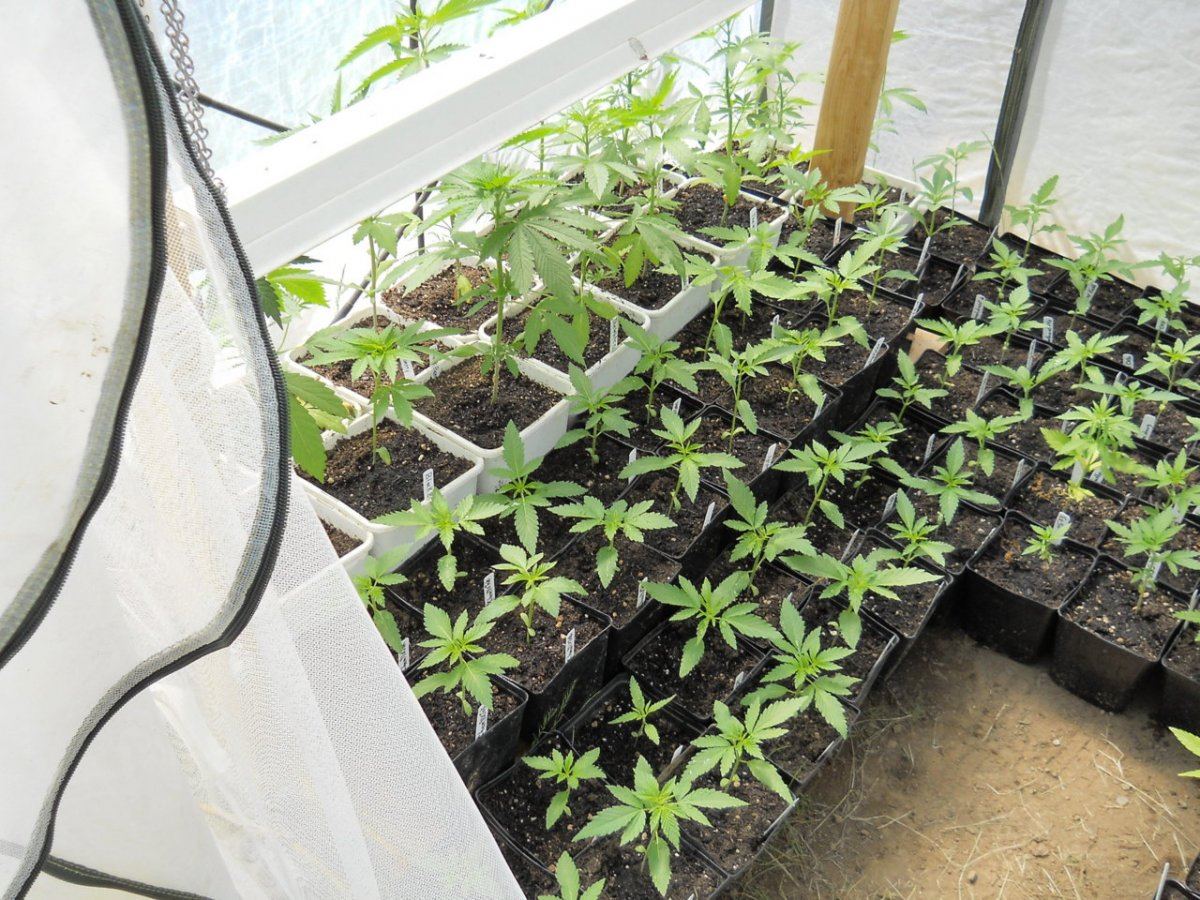 Spring 2012 Landing 005