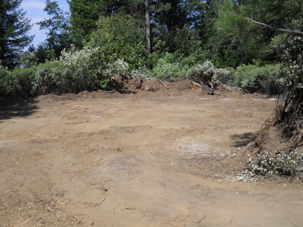 Spring 2012 Landing 010