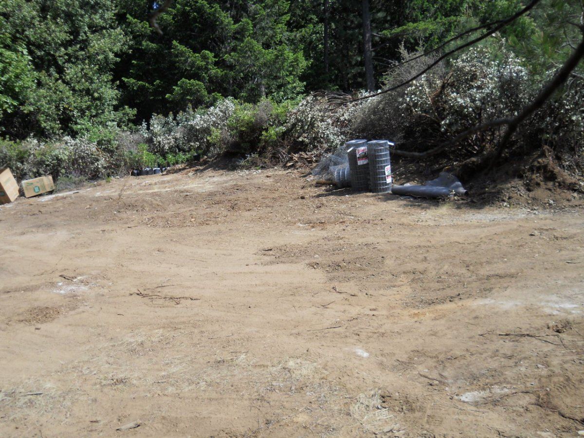 Spring 2012 Landing 011