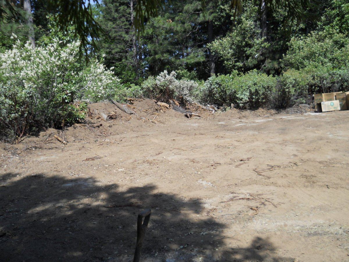 Spring 2012 Landing 012