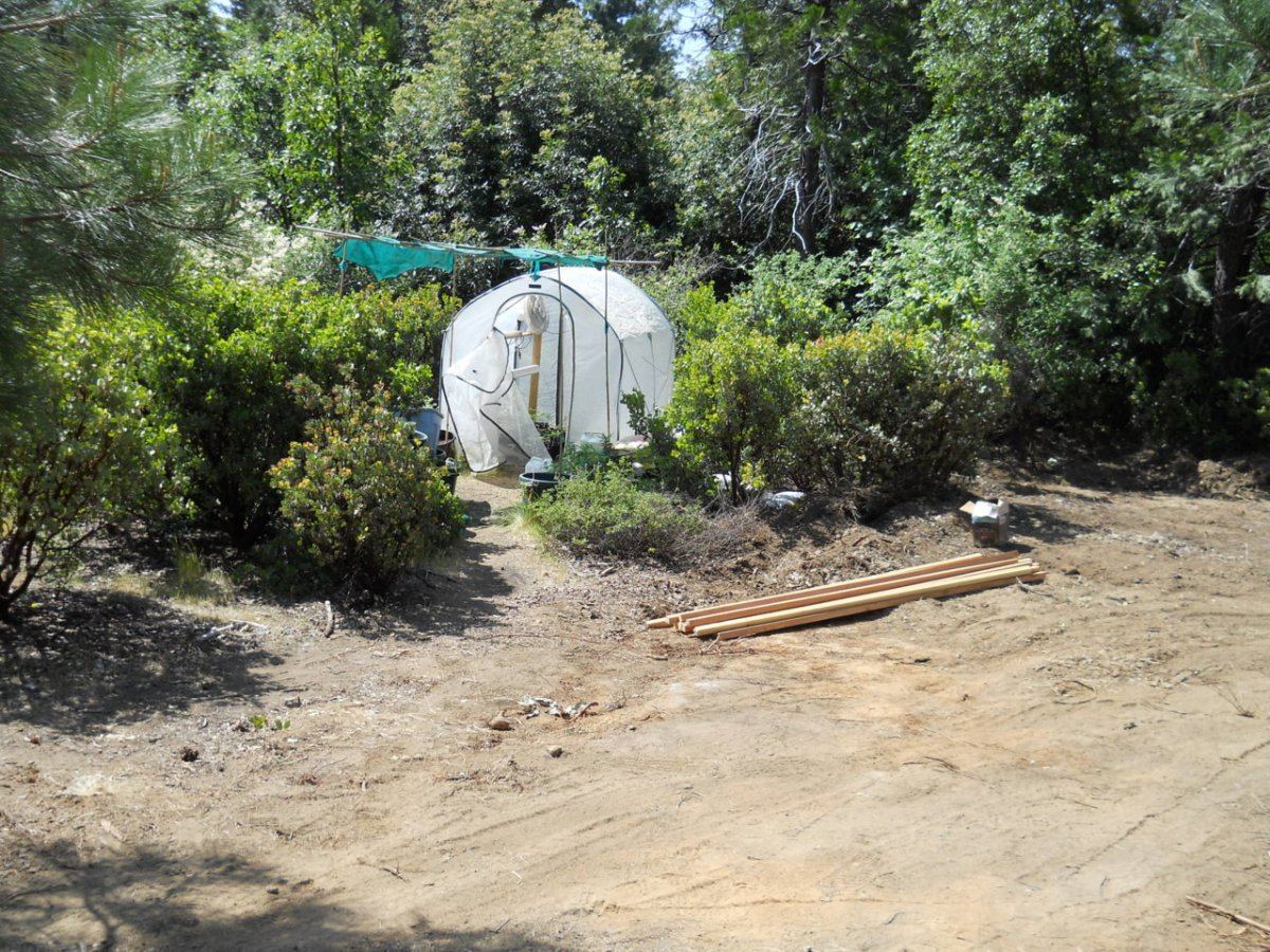 Spring 2012 Landing 013